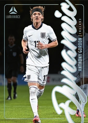 Example Panini Luminance England Card