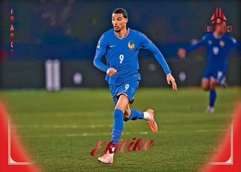 Example Panini Luminance France Card