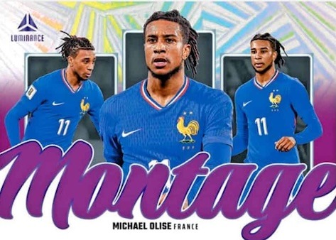 Example Panini Luminance France Card