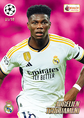 Example Topps Merlin Heritage Card