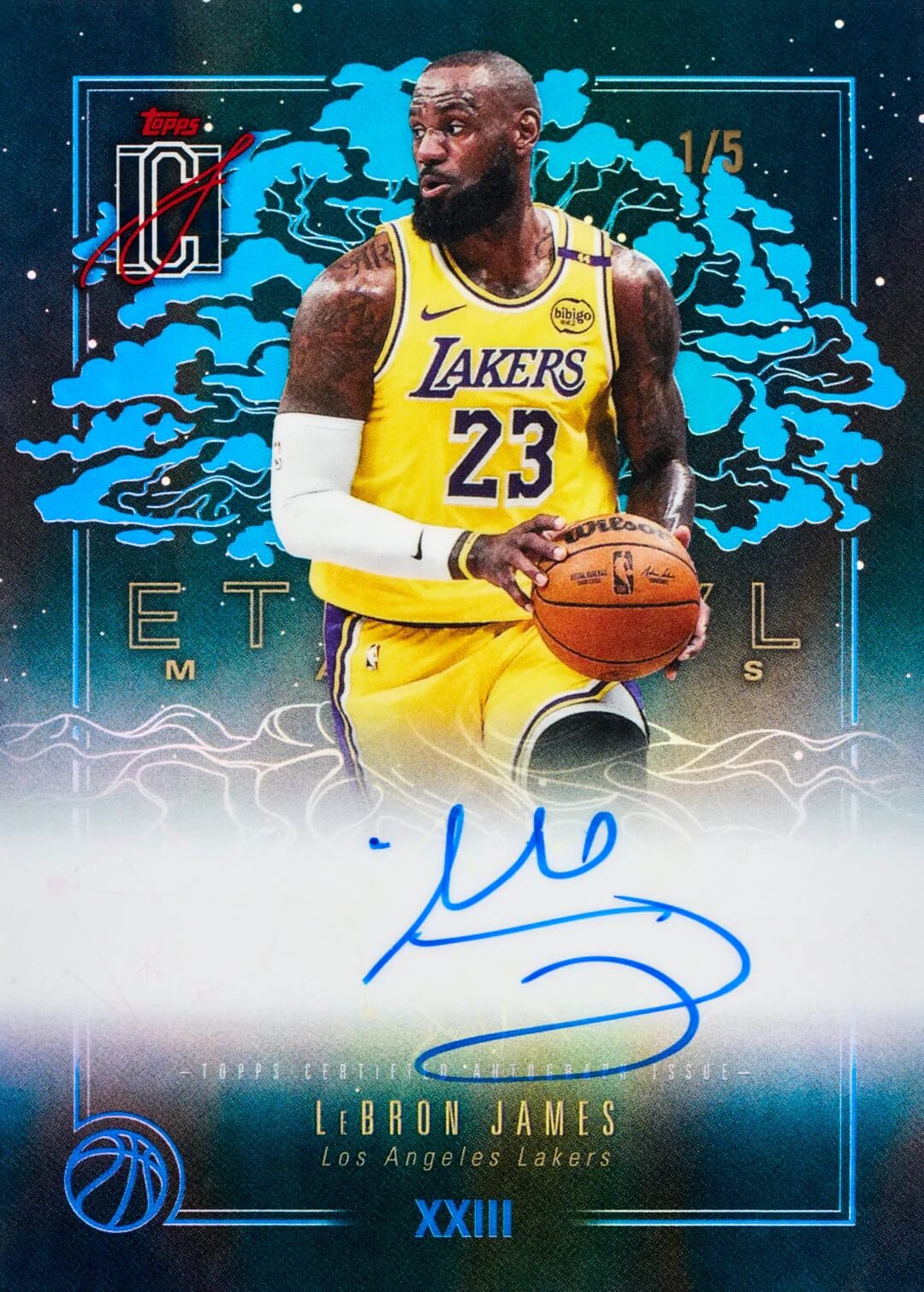 Example Topps Motif Basketball Card