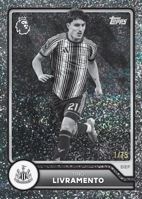 Example Topps Premier League Card