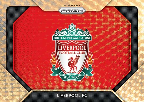 Example Panini Prizm Premier League Card