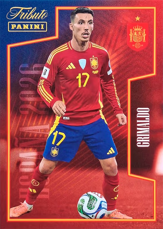 Example Panini Tributo ¡Vamos Campeones! Card