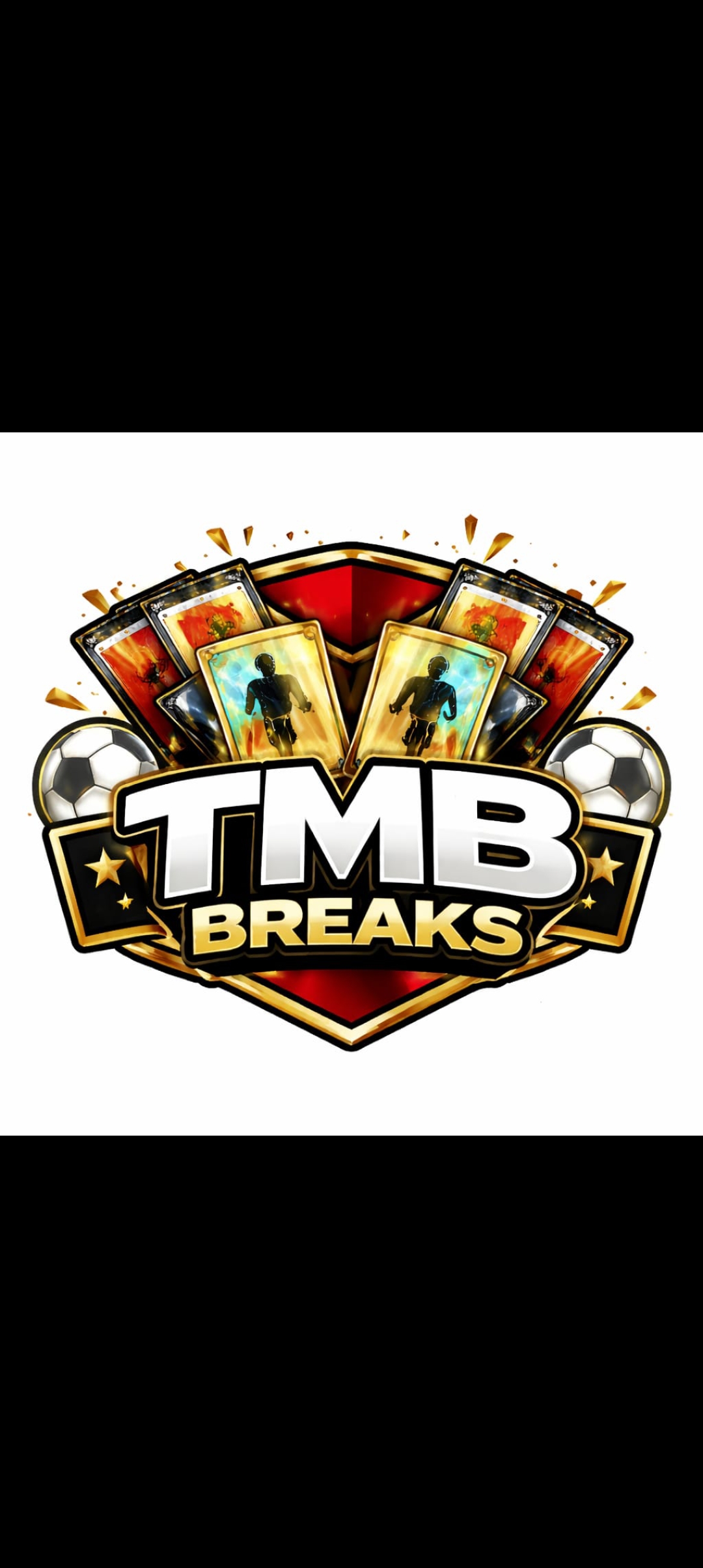 tmbbreaks profile